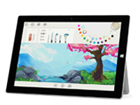 红河Surface 无法开启、Windows 无法启动或电池无法充电